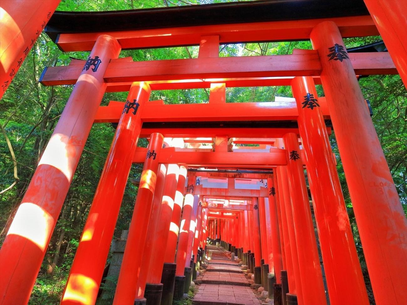 Giappo Franca Kyoto Quioto Exterior foto